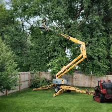 Best Seasonal Cleanup (Spring/Fall)  in Sunbury, OH